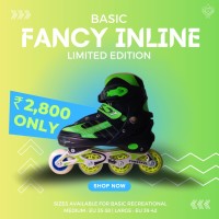 Basic Fancy Inline Roller Skates (Basic)
